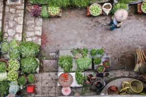 Dieta wegetariańska – odmiany i założenia